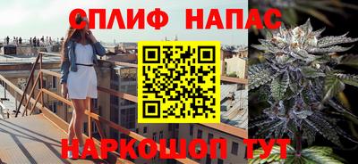 гашик Заводоуковск