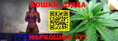 гашик Заводоуковск