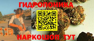 гашик Заводоуковск