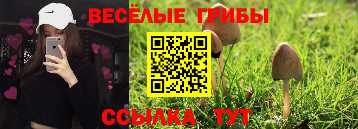МЕФ Курчатов